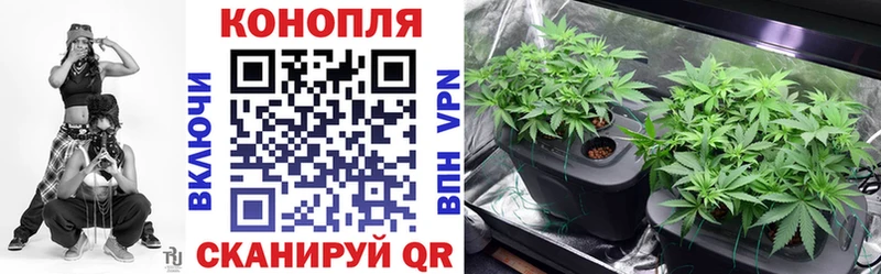 МЕФ Задонск