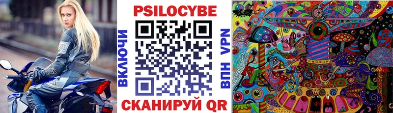 Псилоцибиновые грибы Cubensis  кракен как войти  Задонск 